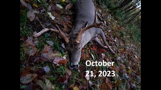 23 Buck Video [upl. by Ledah360]