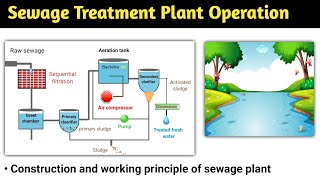 sewage treatment plant  sewage treatment plant calss 12  wasted treatment  stp  process  hindi [upl. by Enehs772]