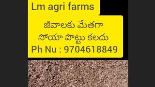 Soya dry fodder available viral fodder for animals shorts [upl. by Auhel]