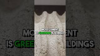 Moss Cement is greening our buildings sustainability climatechange ecofriendly [upl. by Ellehsar]