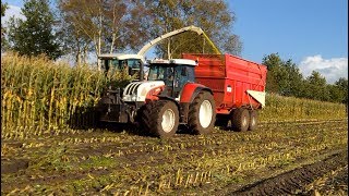 Maishakselen  Harvestin maize  Gebr Wildeboer fourages  Staphorst  2017 [upl. by Woermer]