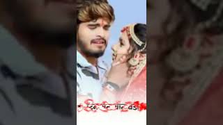 Hardi Logo ho Janu Jaimi Sasurariya  Aashish Yadav  khortha Sad song [upl. by Llerut]