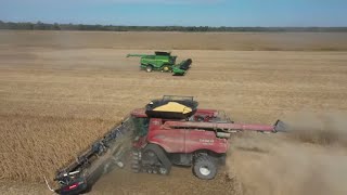 John Deere x9 1100 Vs Case Ih 9250 Combine Cutting Soybeans Season 4 Episode 34 [upl. by Perreault]