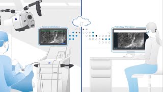 Explainer Video on digital image consultation using ZEISS CONVIVO In Vivo Pathology Suite [upl. by Onairpic708]