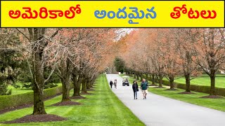 How Famous America Tourist Spots Look 😍 Delaware State 😍 Part  4 😍 USA Telugu Travel Vlog [upl. by Schulze55]