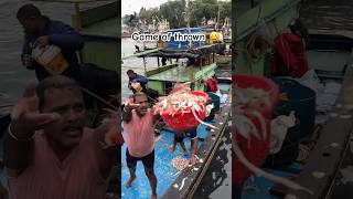 Game of thrown at Sassoon dock seetherealindia shortsvideo trendingsongs fishmarket india [upl. by Rurik999]