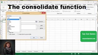 How to use the consolidate function in Excel [upl. by Latricia]