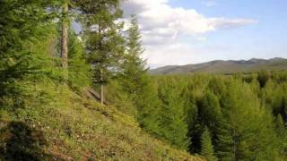 Real life documentary of hunting in Russian Far East [upl. by Ardnuassac]