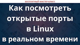 Как посмотреть открытые порты в Linux в реальном времени [upl. by Ranna430]