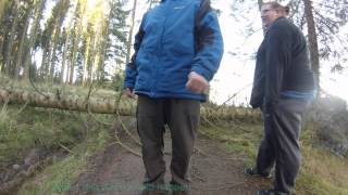 Calvert Trust Kielder  Buggy ride Lakeside Way shut by trees [upl. by Ahselef581]