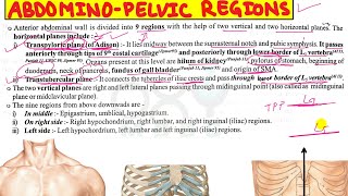 AbdominoPelvic Regions [upl. by Yoo]