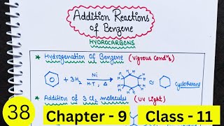 Addition Reactions of Benzene  Hydrocarbons  Class 11 [upl. by Rick45]