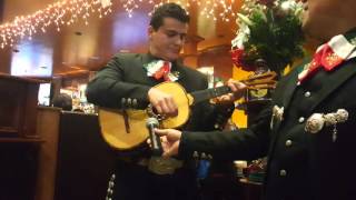 Mariachi Camarillo El Cascabel Vihuela and Guitarrón solos [upl. by Dnalram]