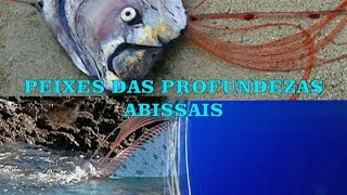 PEIXES DAS PROFUNDEZAS ABISSAIS [upl. by Ettolrahc]