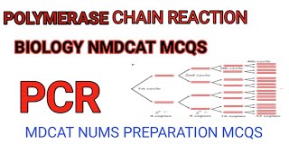 Polymerase chain Reaction McqsPCR mcqs for Mdcat and nums Mdcatpreparation256 [upl. by Madelene]