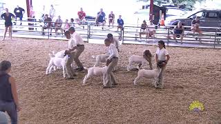 4H  FFA Market Goat amp Showmanship [upl. by Attej186]