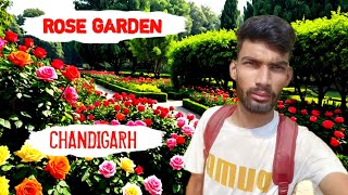 CHANDIGARH CITY AND ROSE GARDEN VLOG Mrpali chandigarh rosegarden [upl. by Suelo]