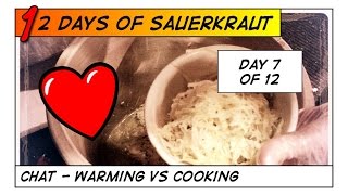 Cabbage Recipes Sauerkraut in Crock Warming vs Cooking 7of12 [upl. by Emrich483]