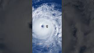 How Do Hurricanes Form Quick Science Recap witty science whizz [upl. by Wandie286]