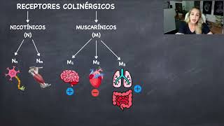 Receptores Colinérgicos [upl. by Reidid]