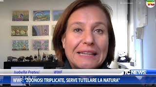 Wwf quot Zoonosi triplicate serve tutelare la naturaquot [upl. by Yumuk]