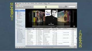 Getting to Know iTunes For Dummies [upl. by Artkele481]