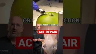 ACL Repair 🥭 Tendon Extraction shorts [upl. by Eadwine421]