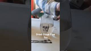 Dried Ghost Pipe Tea pt 2 it can be enjoyed during the off season herbaltea tealand [upl. by Nairam]