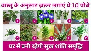 Top 10 Lucky Plant for homeVastu Plantसुखमय जीवन के लिए लगाएं ये शुभ वास्तु पौधेlucky plants 2023 [upl. by Muslim183]