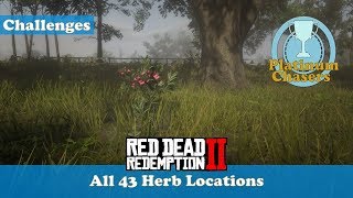 All 43 Herb Locations Herbalist Challenge 9  Red Dead Redemeption 2 [upl. by Niwde]