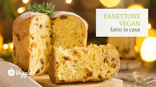 Panettone vegan fatto in casa  Bettina Adank e Nancy Dong [upl. by Alleusnoc325]