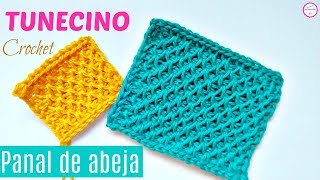 PUNTO TUNECINO CROCHET PANAL DE ABEJA [upl. by Hendel33]