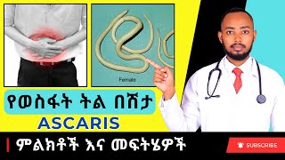 Ethiopia  የወስፋት ትል በሽታ ምልክቶች እና መፍትሄዎች Ascaris [upl. by Lebiralc]