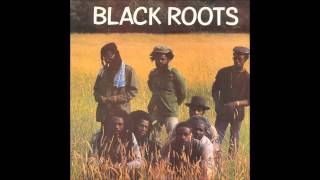 Black Roots  Black Roots full album [upl. by Ahsya287]