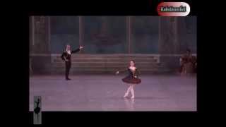 Don Quijote PD Tamara Rojo Steven McRae [upl. by Mogerly309]