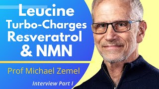 Leucine Amplifies The Effects Of Resveratrol amp NMN  Prof Michael Zemel Ep 1 [upl. by Alaster]