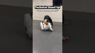 Technical Stand Up jiujitsu bjj brazilianjiujitsu jiujitsuflo [upl. by Adnovad]