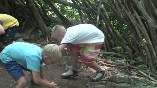 Day Camp Antietam Recreation [upl. by Irrep763]