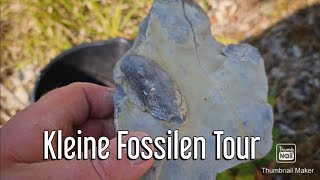 Kleine Fossilien Tour Muscheln Suchen fossi outdoors outdoor [upl. by Amero]