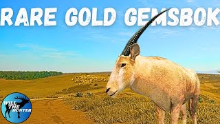 Rare Gold Gemsbok Taken With The Cacciatore 12G On Vurhonga Savanna TheHunter Call Of The Wild [upl. by Accisej]