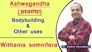 Ashwagandha Uses and Dose  Best medicine for Bodybuilding  Withania Somnifera [upl. by Yruoc]