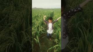 Chunri Jaipur se mangwa I song cutebaby music sortvideo [upl. by Acinomal]