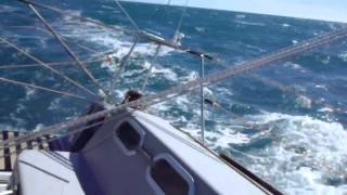 singlehanded sailing in front of the Strait of Magellan wind Force 78 reefed genoa and main sail [upl. by Zelig]