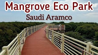 Mangrove Eco Park Ras Tanura  Saudi Aramco  Saudi Arabia Tourism [upl. by Odella938]