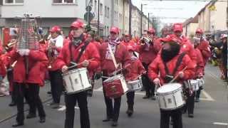 Zollstocker Veedelszug 2013 [upl. by Ecyak482]