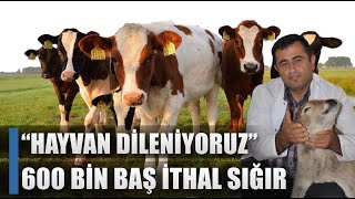 Yurtdışından Hayvan Dileniyoruz Diyerek Açıkladı 600 Bin Baş İthal Sığır  AGRO TV HABER [upl. by Nodanrb]