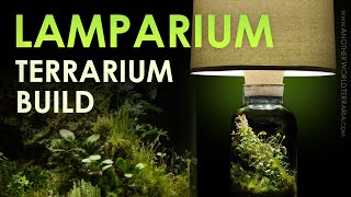 How I Made the Lamparium Terrarium [upl. by Xantha796]