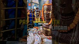 Pashupatinath Temple Lingam Mandsaur Madhya Pradesh pashupatinath mandsaur ytshorts [upl. by Elianore307]