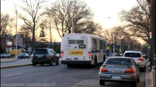 NYCTA  NICE Bus Q12  Q13  Q76  N20  N21 at Francis Lewis Blvd  Northern Blvd [upl. by Emlynn510]