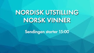 NKK Sandefjord 2024  Nordisk utstilling Norsk vinner [upl. by Lledyr]